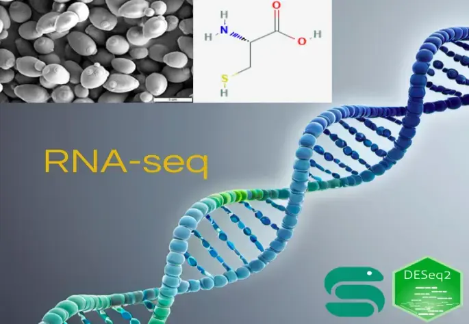 RNA-seq analysis