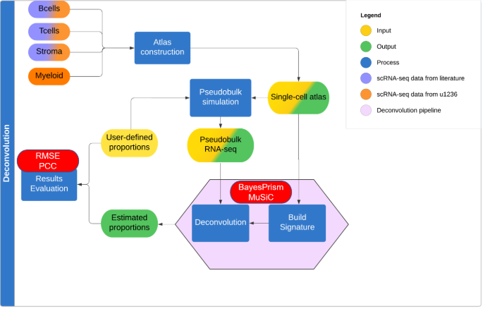 Bulk RNA-seq deconvolution pipeline